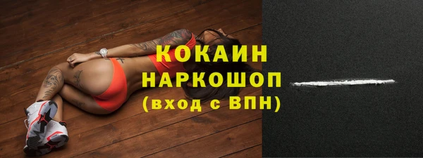 прущие грибы Осташков