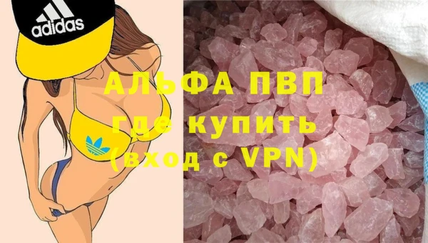 прущие грибы Осташков