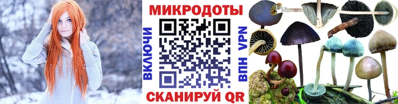 OMG   Приволжск  Псилоцибиновые грибы MAGIC MUSHROOMS 