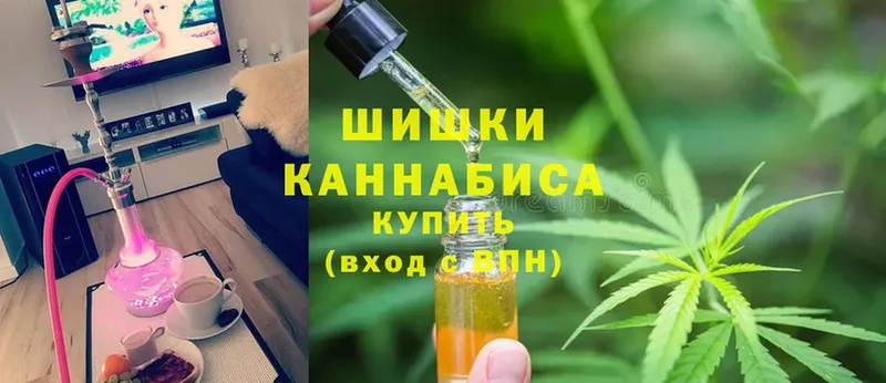 купить наркотики сайты  Приволжск  МАРИХУАНА ГИДРОПОН 